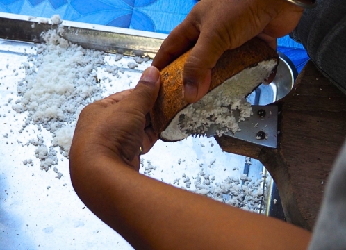 ココナッツオイル作り体験